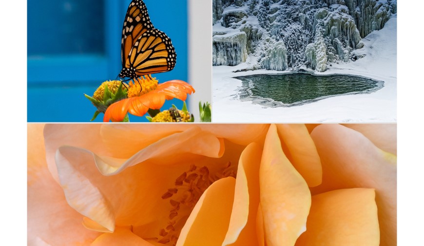 Image - 