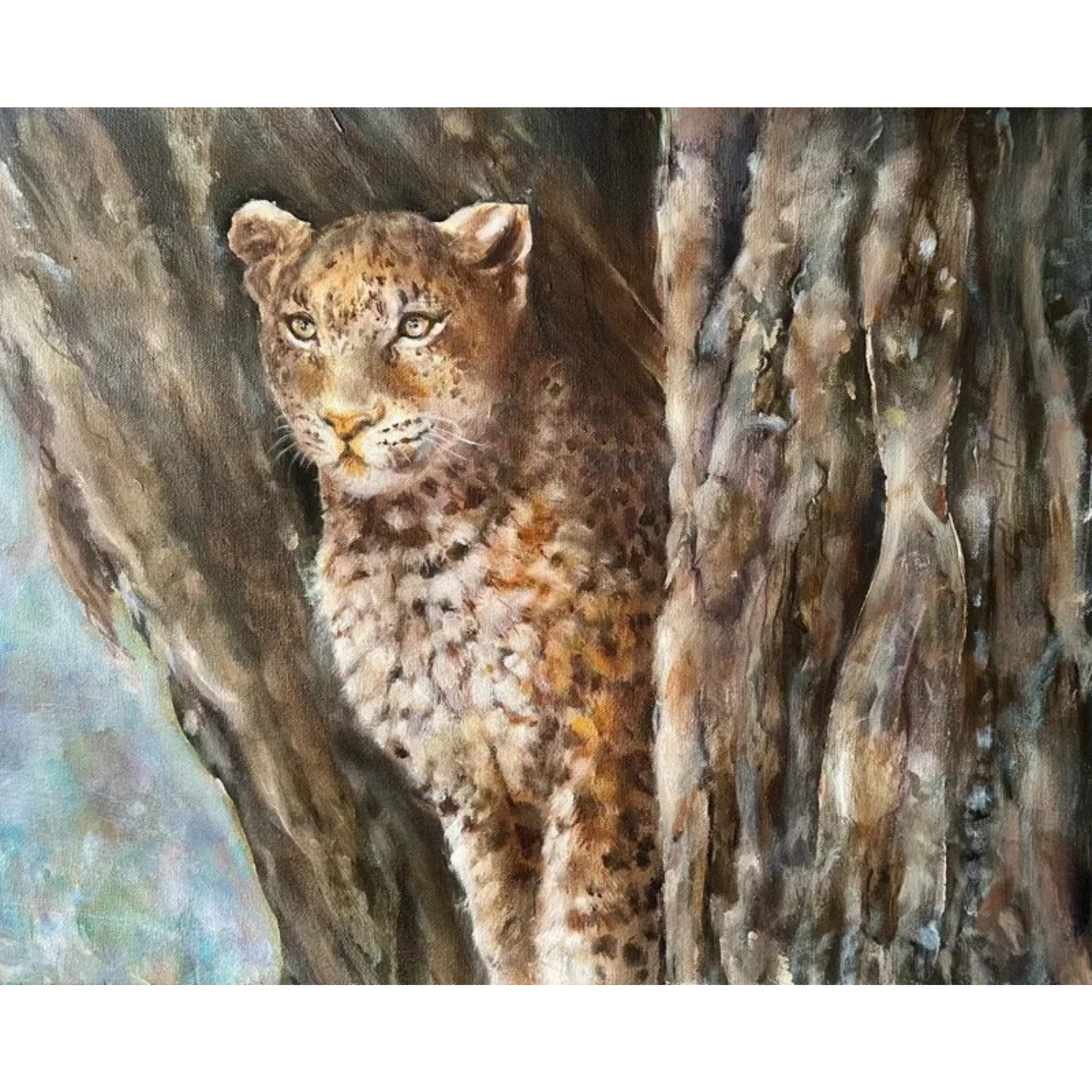 image galerie - undefined